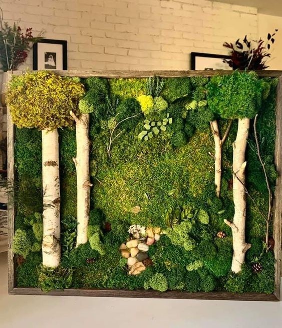 Лесные пейзажи с камнями в рамке Лесные пейзажи с камнями в рамке