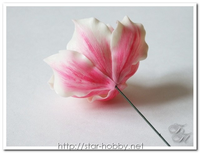 Мастер-класс по лепке магнолии