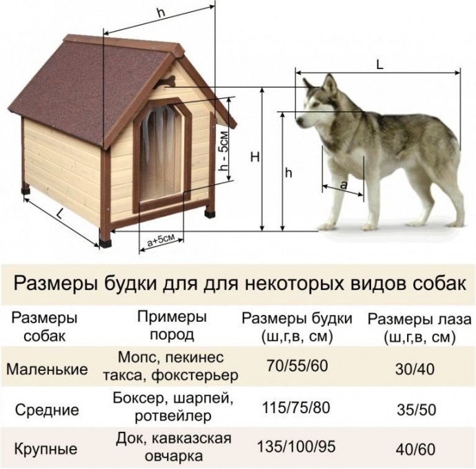 Размеры будок для разных пород собак
