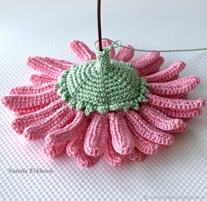 Вяжем крючком цветок герберы