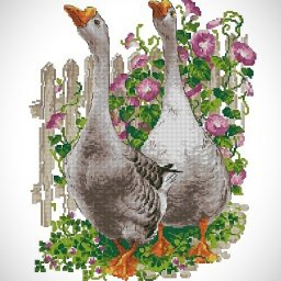 ​Вышиваем гусей