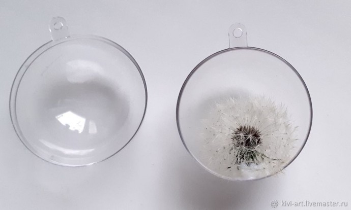 Одуванчиковое счастье