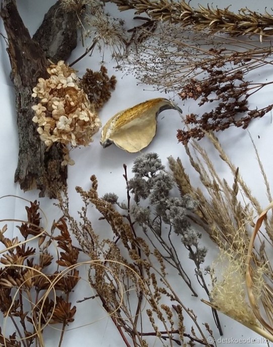 Панно с сухоцветами