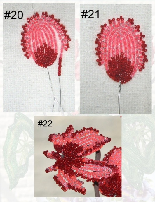 Цикламены: мастер-класс