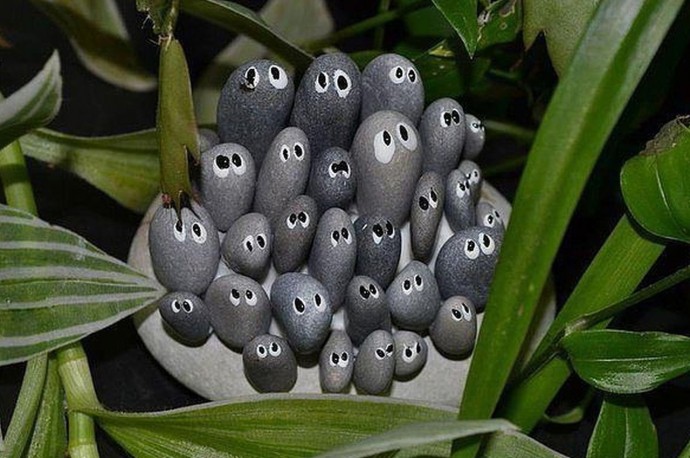 Глазастые камни Глазастые камни