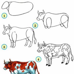 Рисуем животных как профессионалы