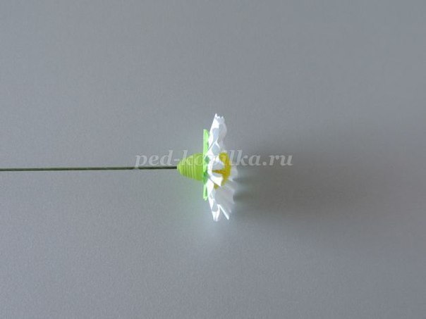 Цветы из бумаги