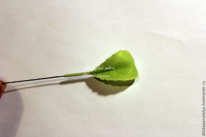 Кальцеолярия из полимерной глины