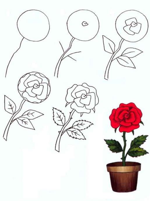 Рисуем простые и красивые цветы