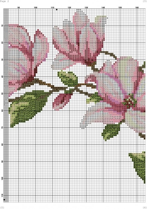 Венок магнолии