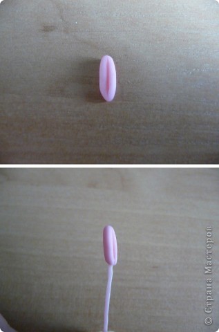 Гладиолус как живой