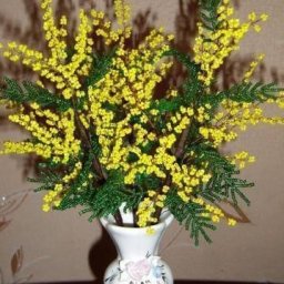 Мимоза из бисера: мастер-класс