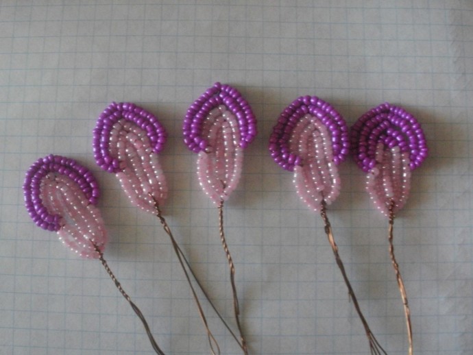 Бонсай адениум: мастер-класс