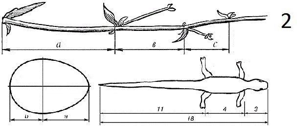 Золотое сечение в живописи