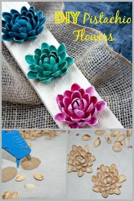 ​Повторяем за живой природой: суккуленты