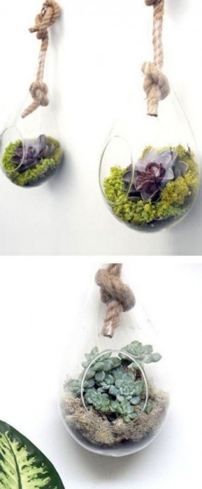 Флорариумы своими руками