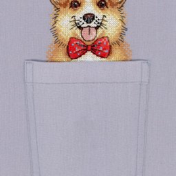 ​Карманный пёс