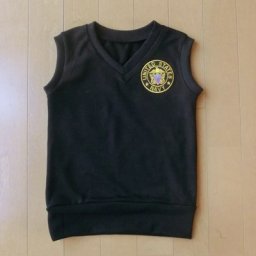 Строгий жилет