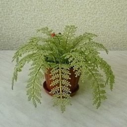 Поделки из бисера: папоротник