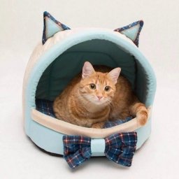 ​Лежанка для любимой кошки