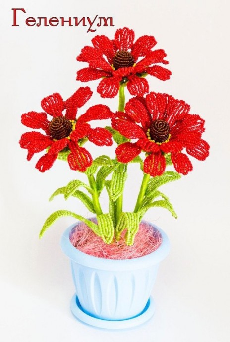 Прекрасный гелениум