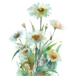 Урок рисования акварелью: ромашки