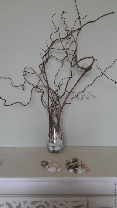 Композиция "Сокровища моря" Композиция "Сокровища моря"