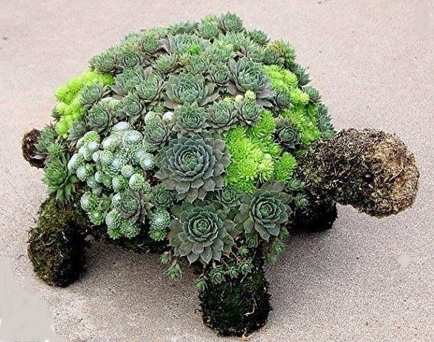 Невероятная черепаха из цветов
