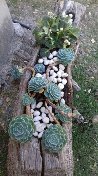 Удачные идеи из коряг Удачные идеи из коряг