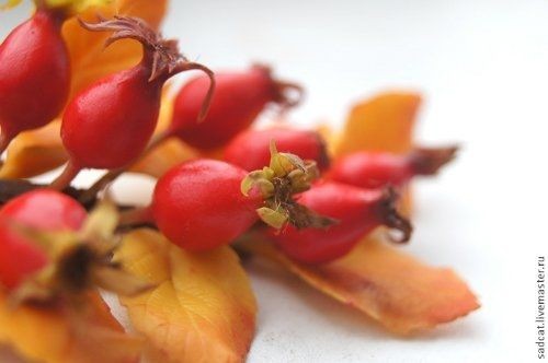 Веточка шиповника из полимерной глины: мастер-класс