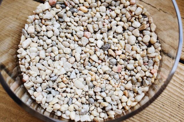 Горшок для кактусов: красота и растение в одном флаконе