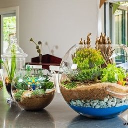 Флорариум своими руками