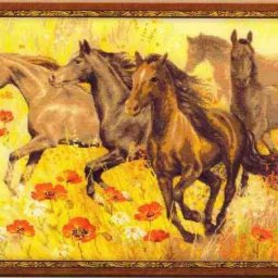 ​Кони на маковом поле