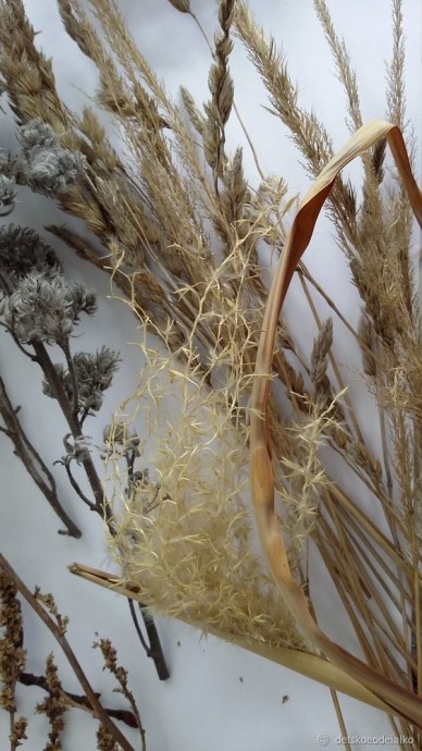 Панно с сухоцветами