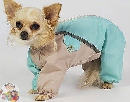 Шьем комбинезон для собачки