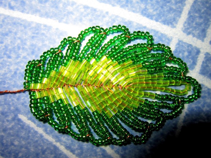 Незабываемые незабудки