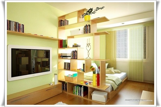 Оригинальные идеи для однокомнатной квартиры