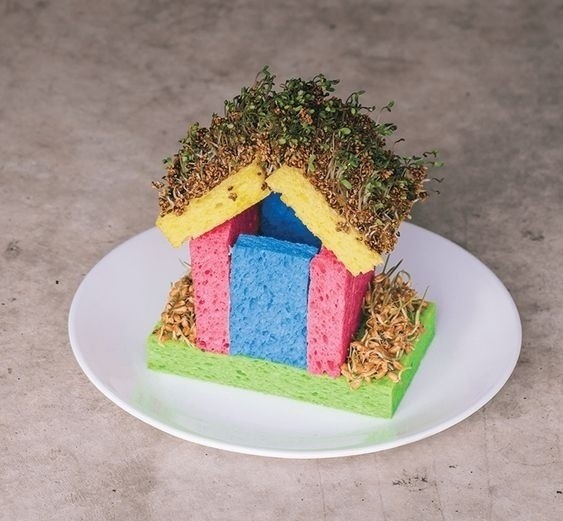 Домик с зеленью из губок