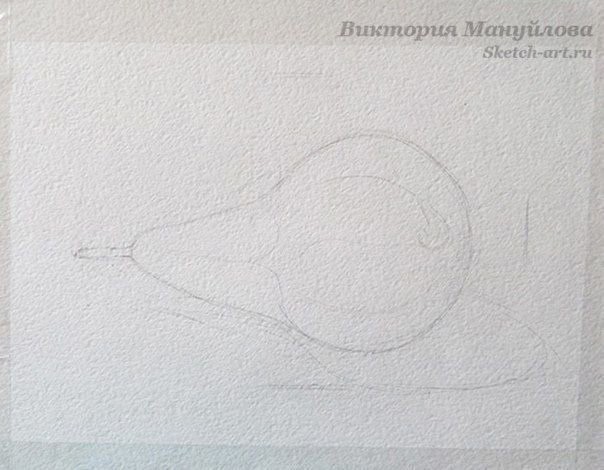 ​Как нарисовать грушу акварелью