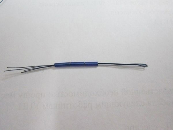 Гемантус из бисера и стекляруса