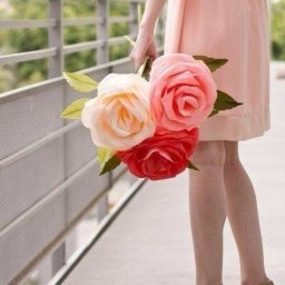 ​Роза для фотосессий