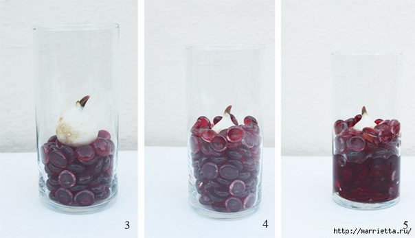 Чудесная идея выращивания тюльпанов в прозрачной вазе