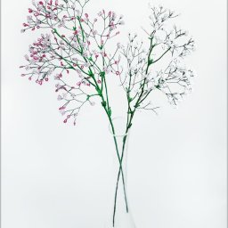 ​Гипсофила из бисера