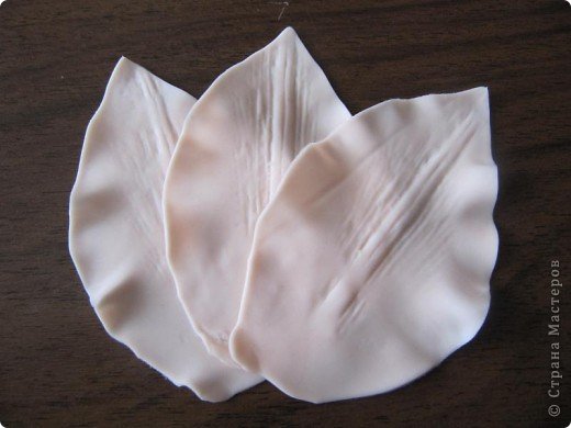 Гладиолус из холодного фарфора