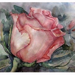 Как нарисовать розу акварелью