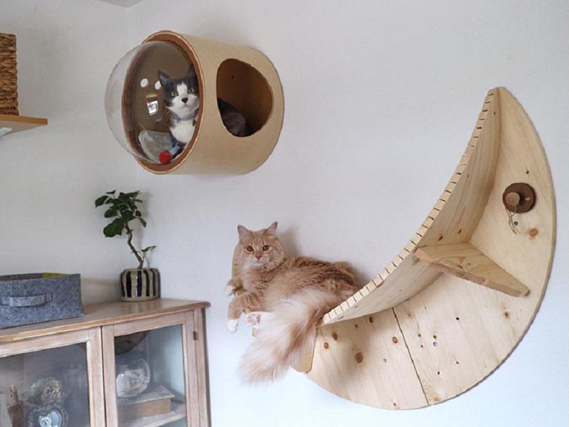 Уютные и оригинальные кроватки для котиков: идеи