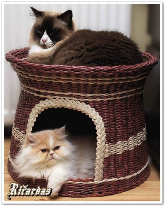 Варианты плетеных домиков для домашних любимчиков