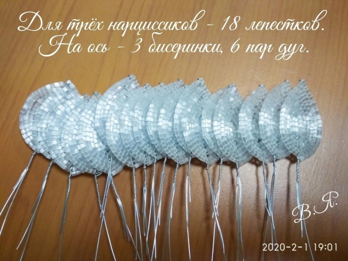 ​Нарциссы из рубки