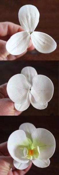 Орхидеи для украшения торта