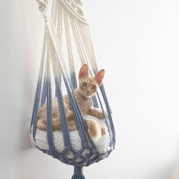 Гамаки для кошек: идеи для вдохновения